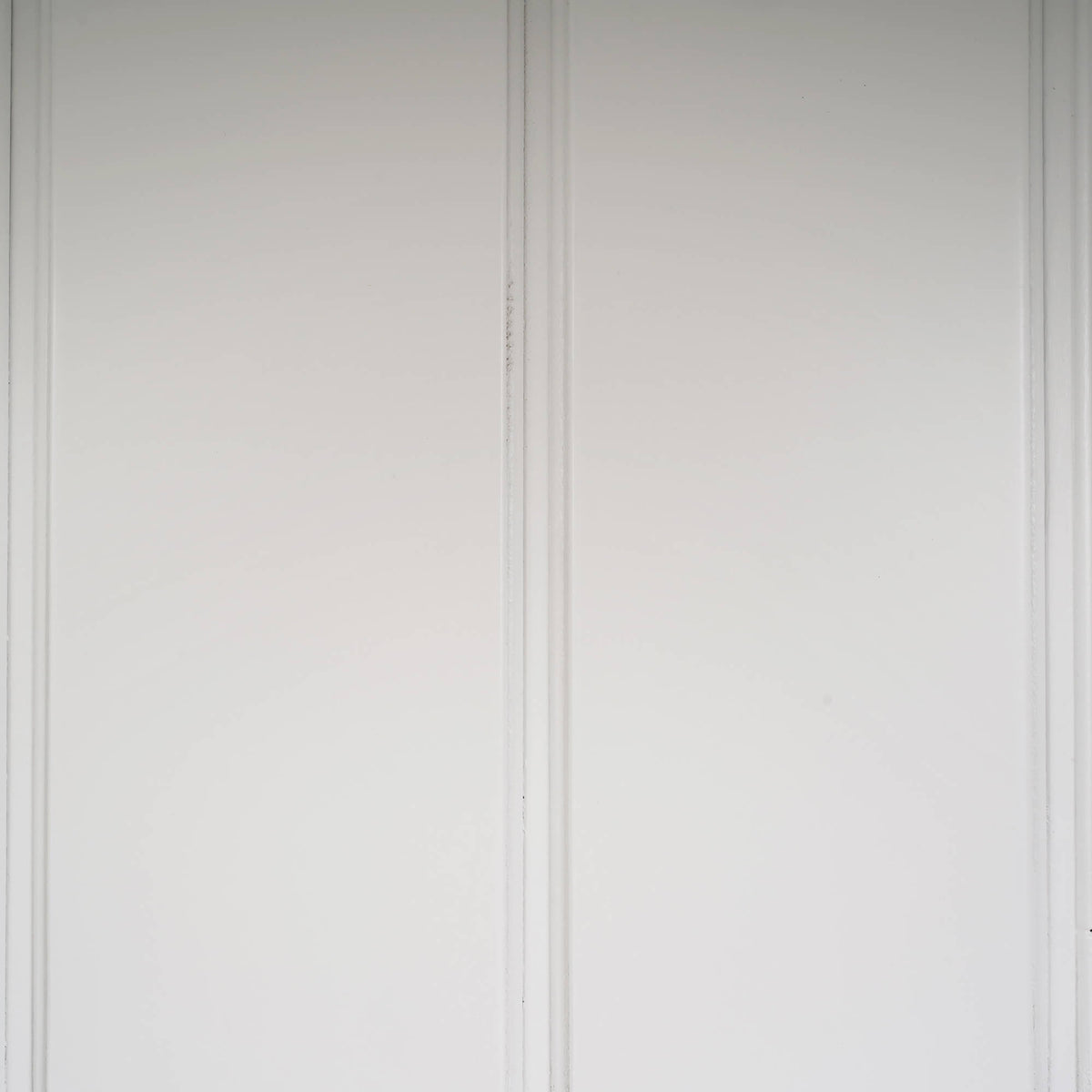 Bruges 2 Door Credenza in True White