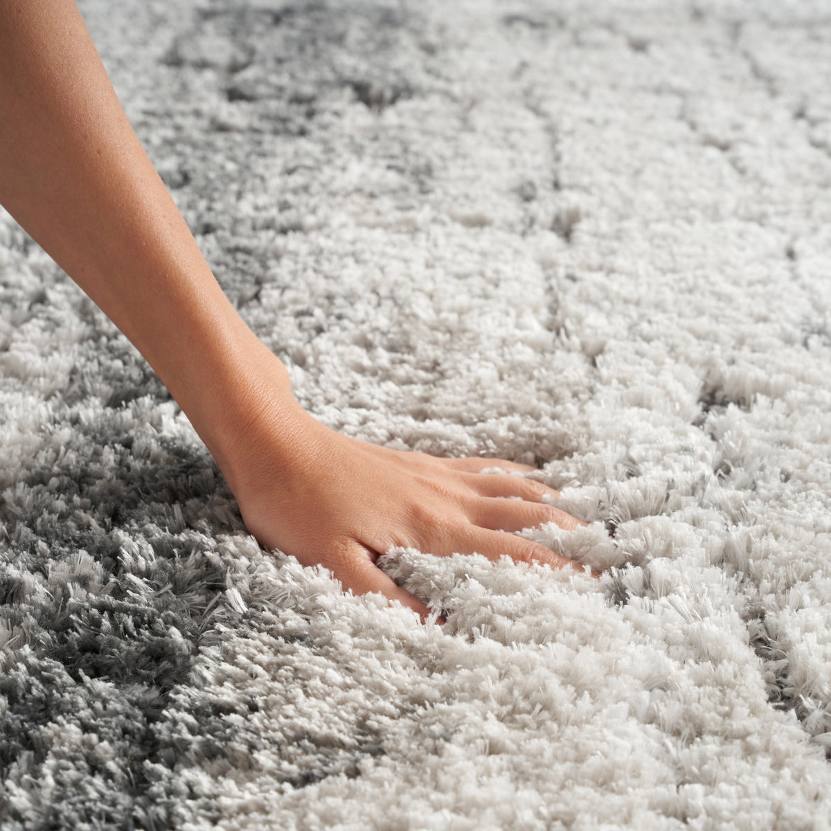 Dreamy Shag DRS01 Ivory Charcoal Rug
