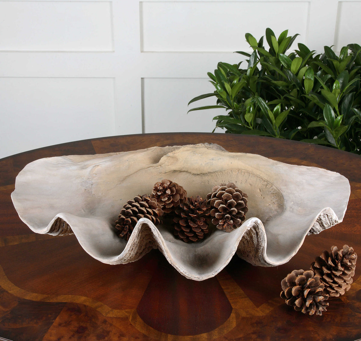 Clam Shell Bowl