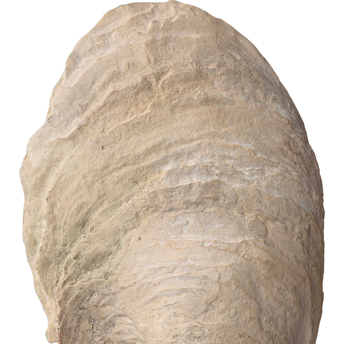 Oyster Shell Sculptures Set/2