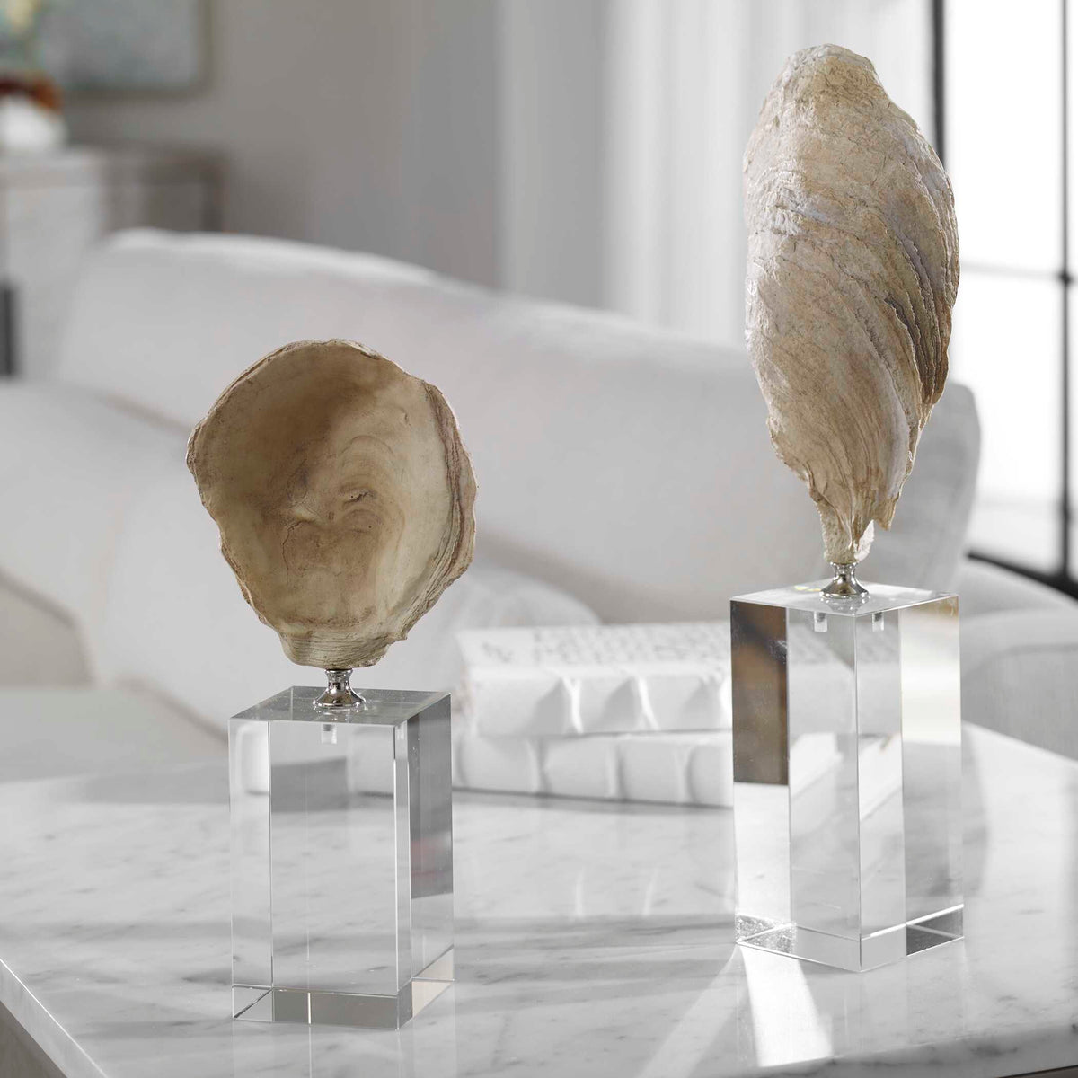 Oyster Shell Sculptures Set/2