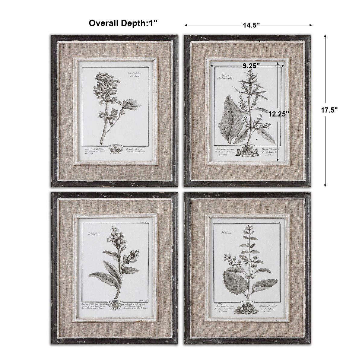 Casual Grey Study Framed Art Set/4