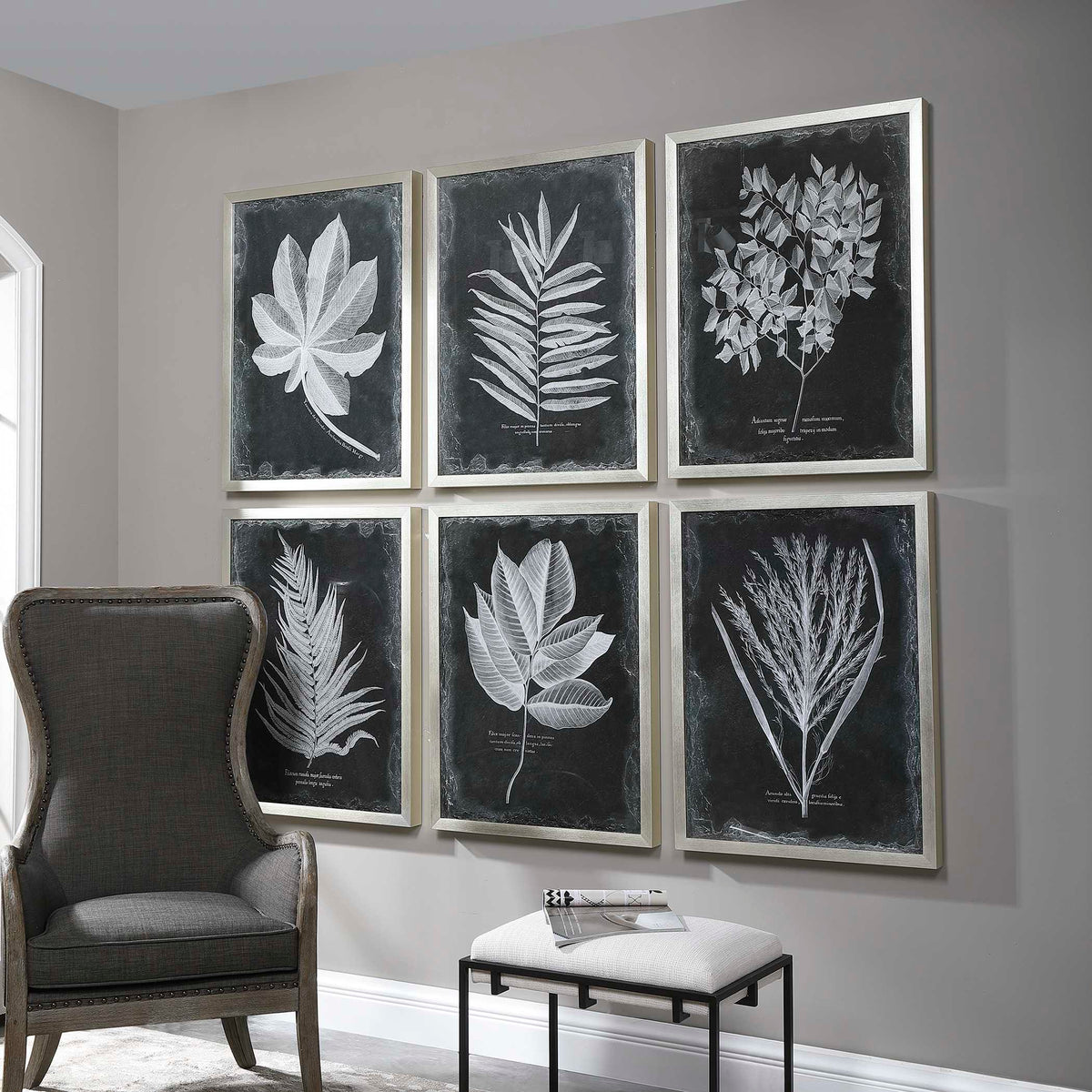 Foliage Framed Prints Set/6
