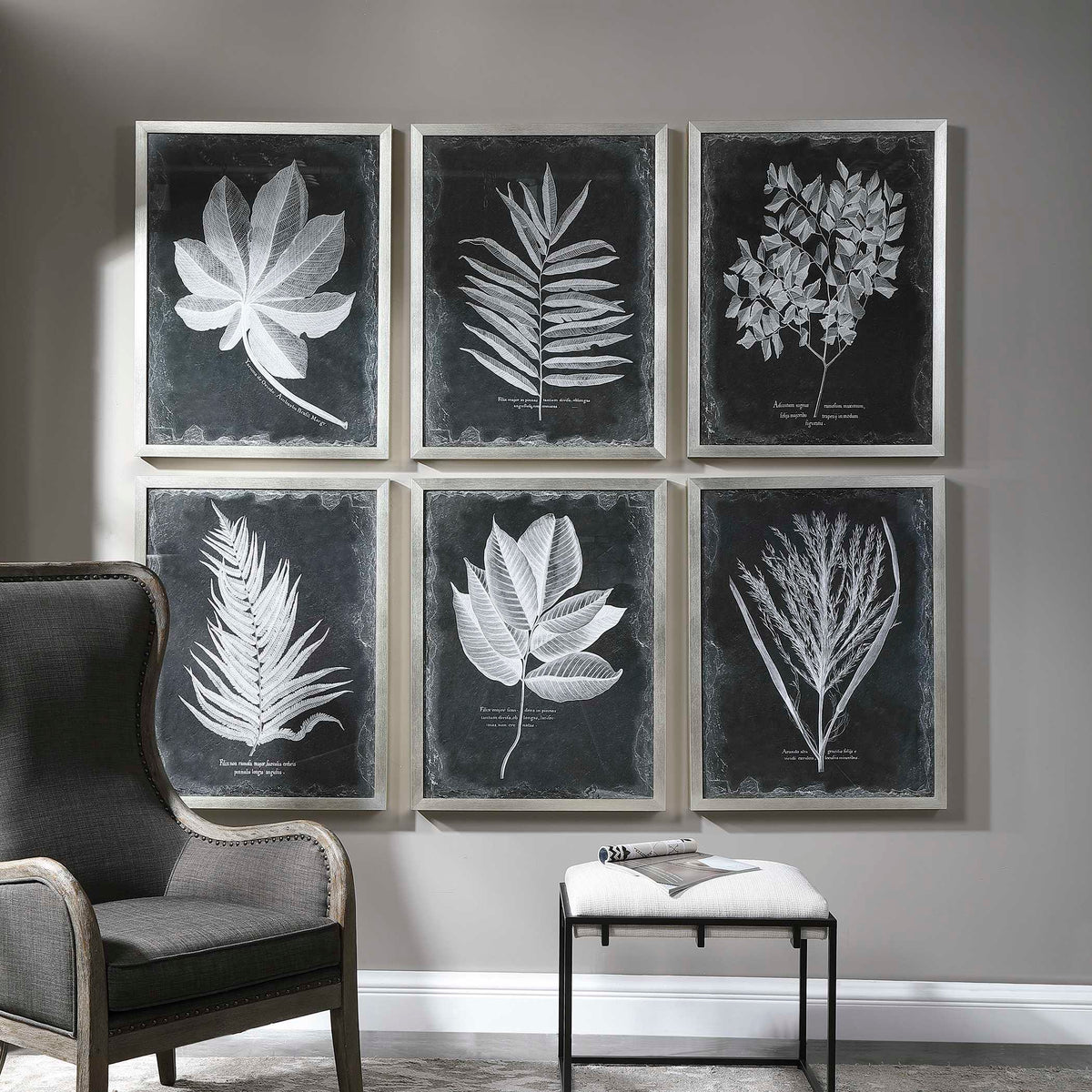 Foliage Framed Prints Set/6