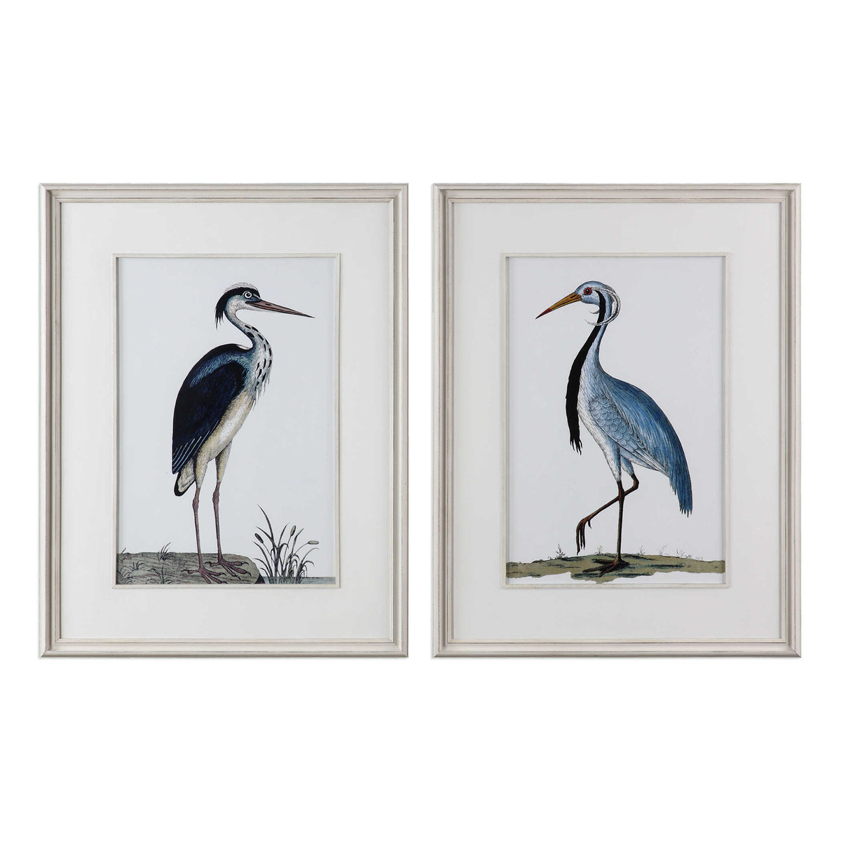 Shore Birds Framed Prints Set/2