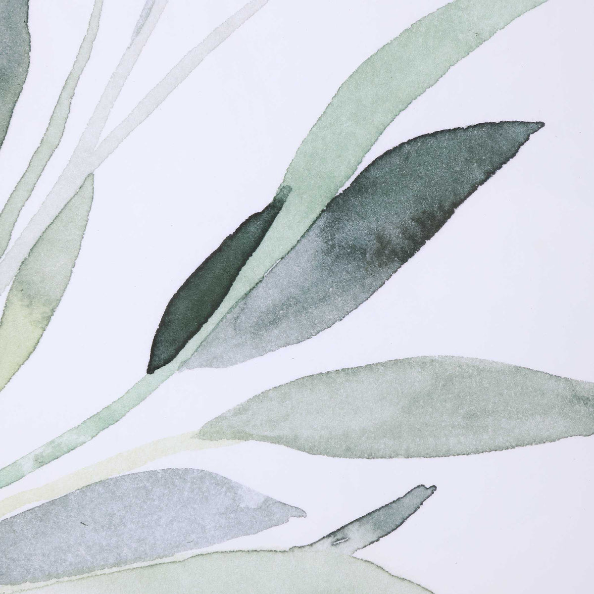 Simple Sage Watercolor Prints Set/3