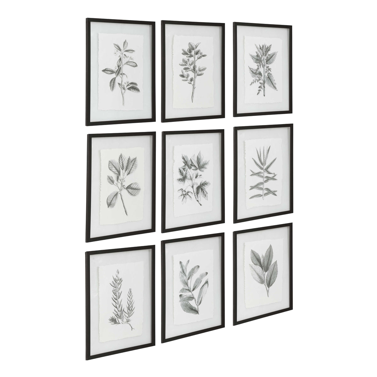 Farmhouse Florals Framed Prints Set/9