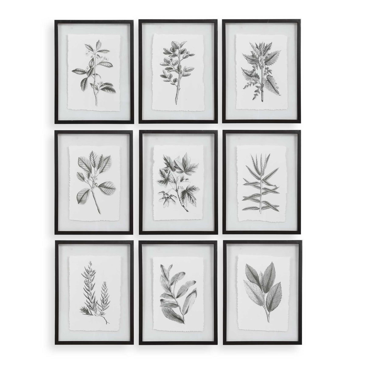 Farmhouse Florals Framed Prints Set/9