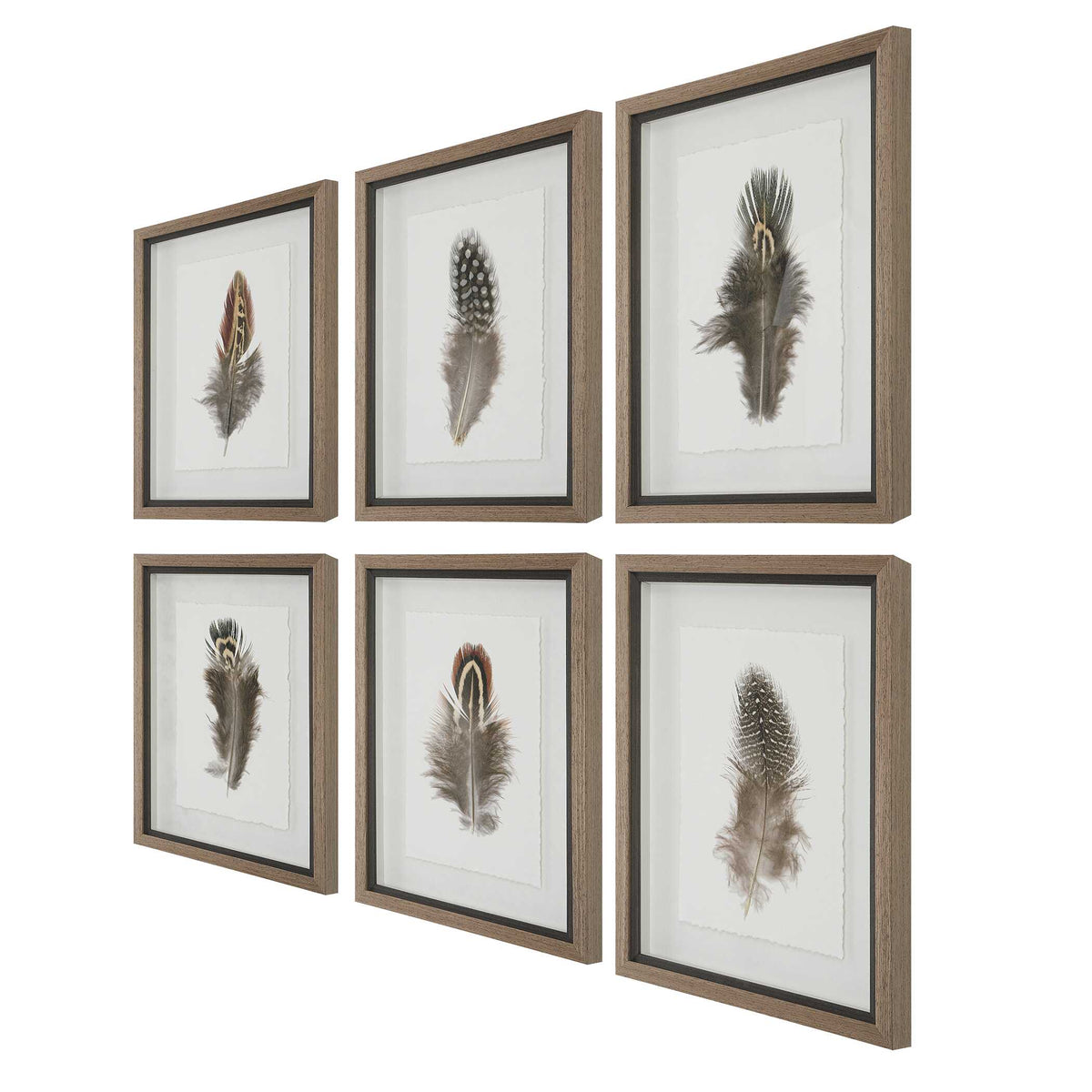 Birds Of A Feather Framed Prints Set/6