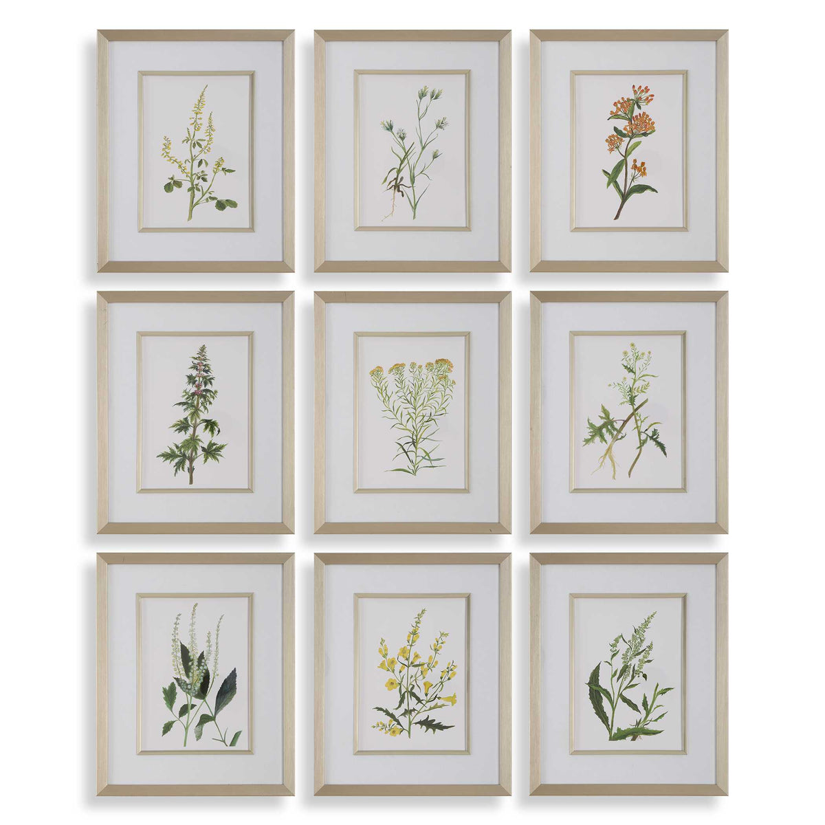 Botanical Flowers Framed Prints Set/9