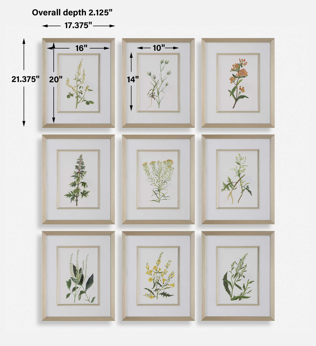 Botanical Flowers Framed Prints Set/9