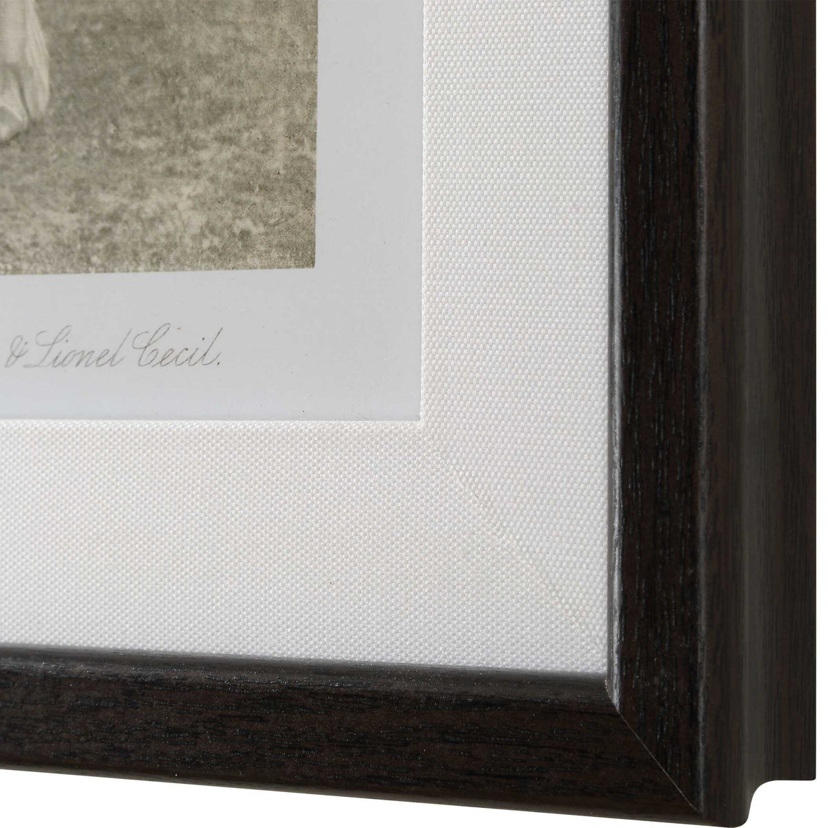 Equine Dynasty Framed Prints Set/9