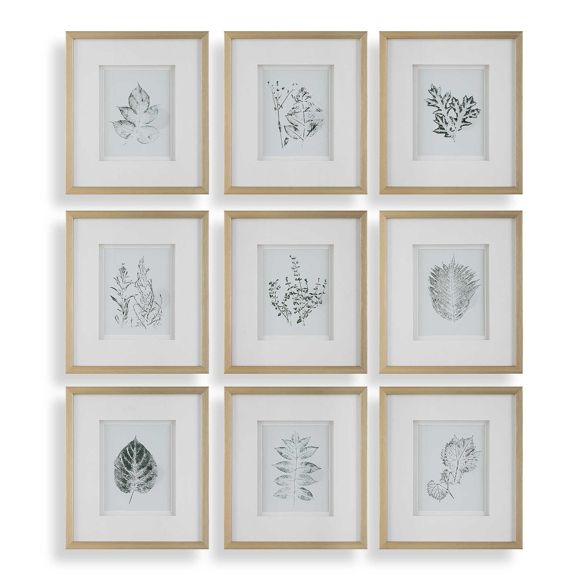 Nature's Script Framed Botanical Prints Set/9