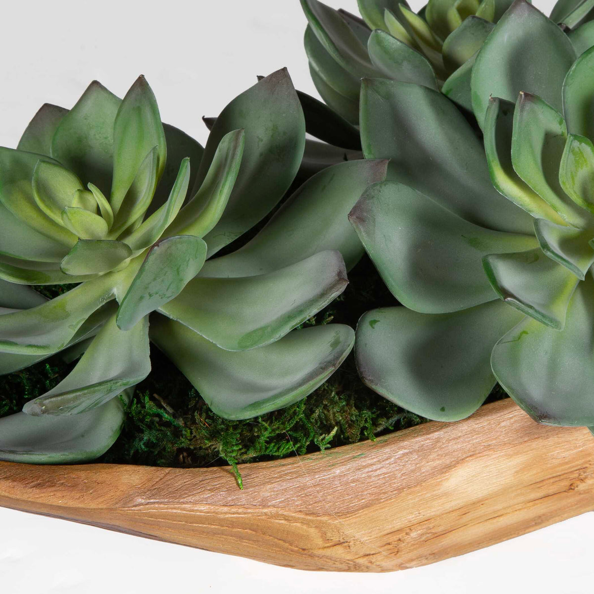 Yuma Succulent Centerpiece 27"