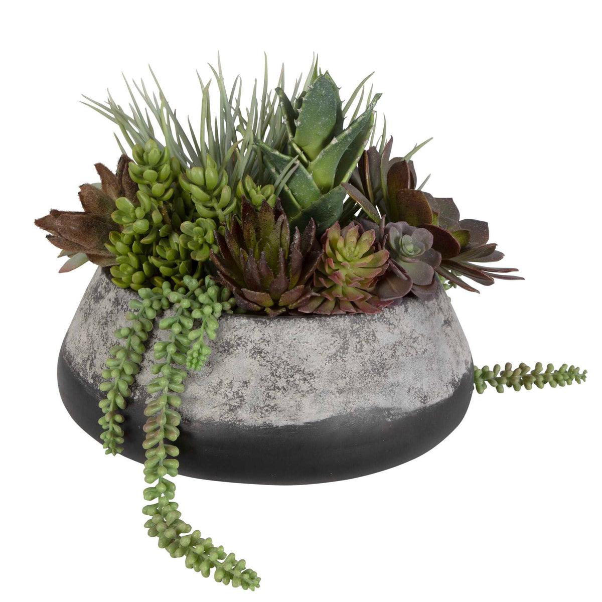 Yuma Succulent Centerpiece 15"