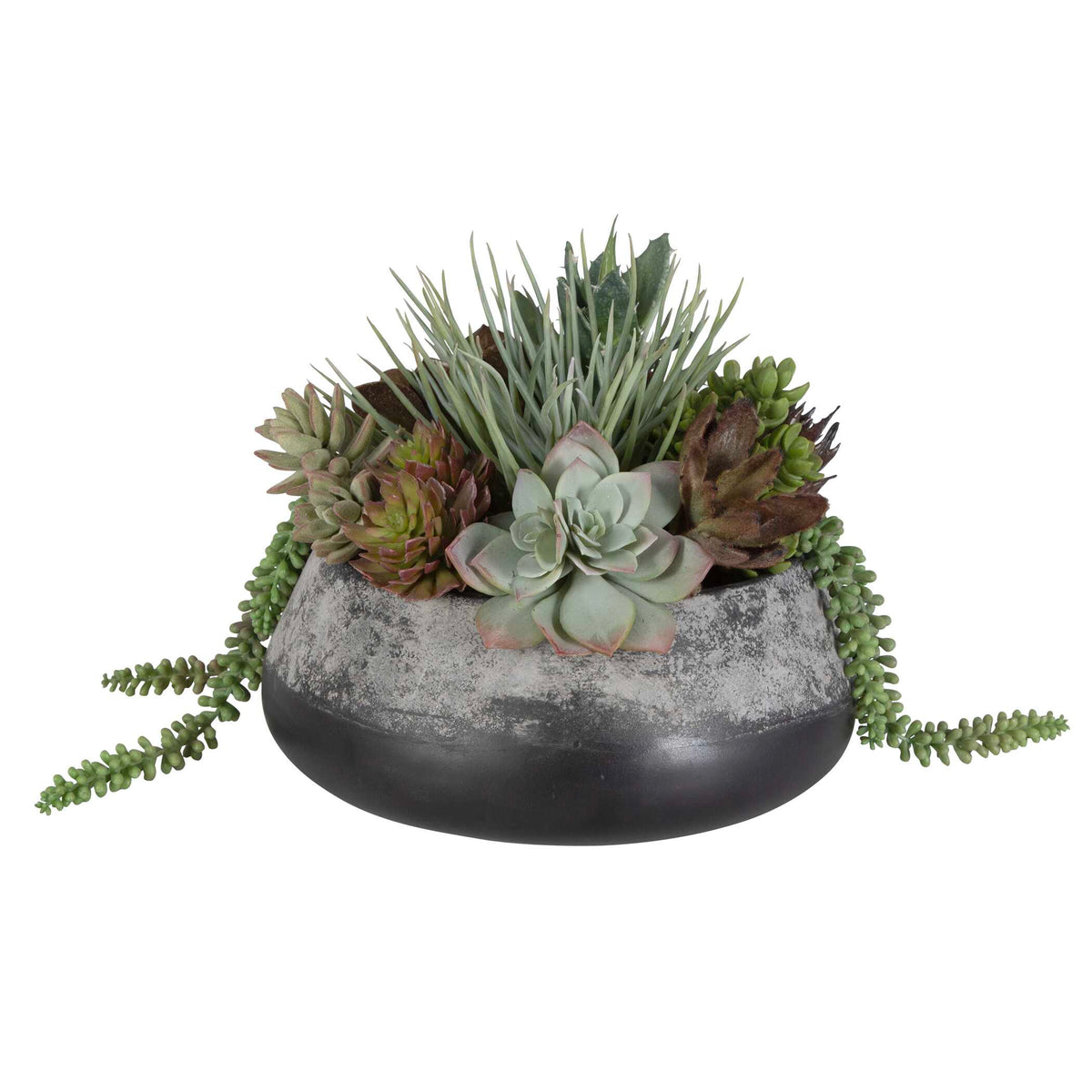 Yuma Succulent Centerpiece 15"