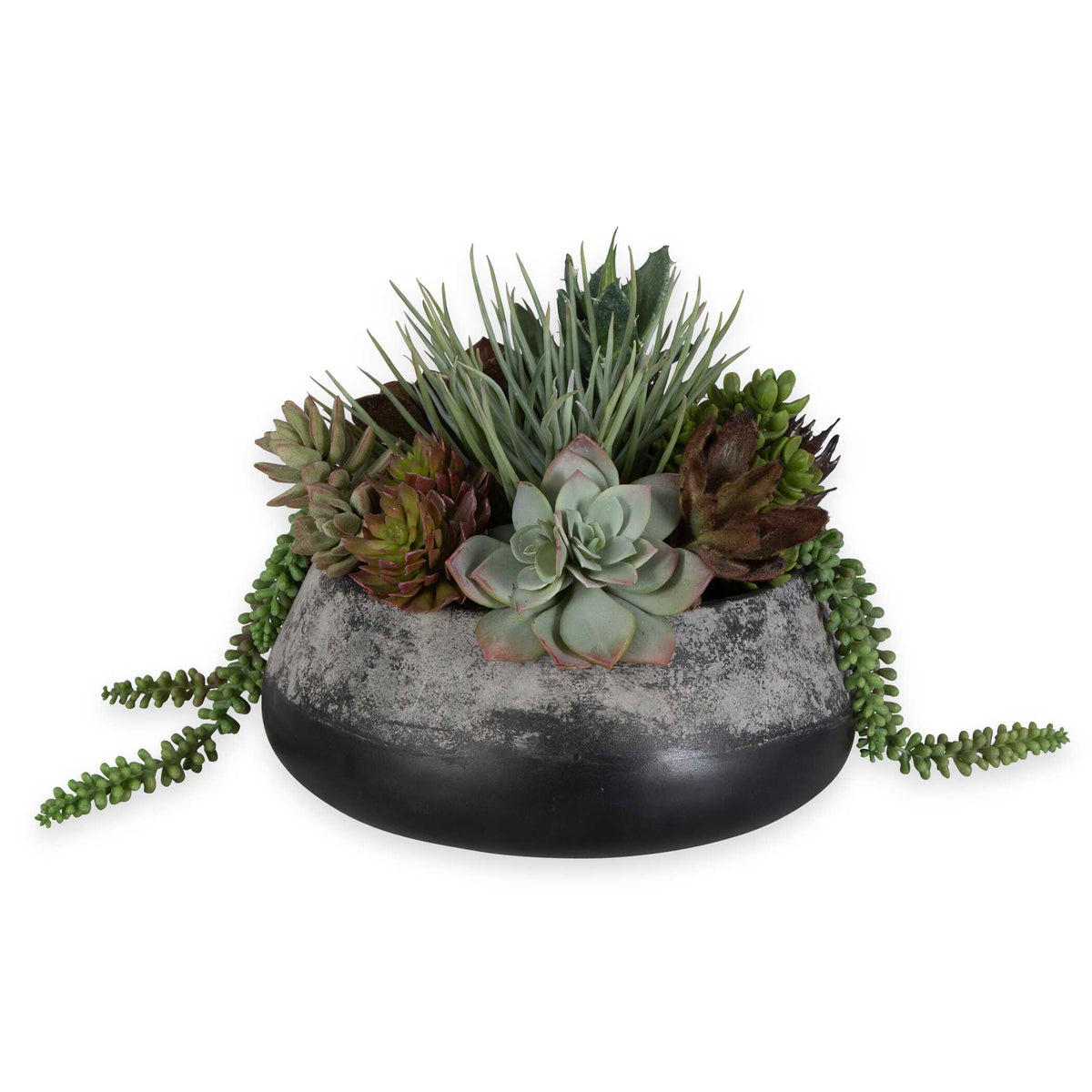 Yuma Succulent Centerpiece 15"