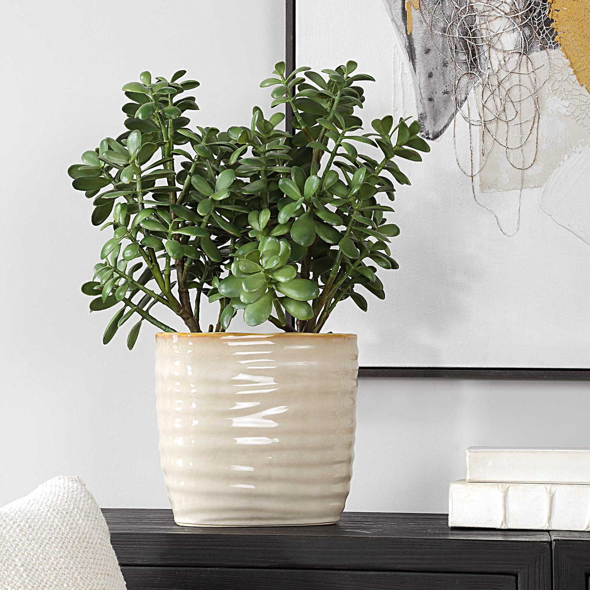 Crassula Jade Accent Plant