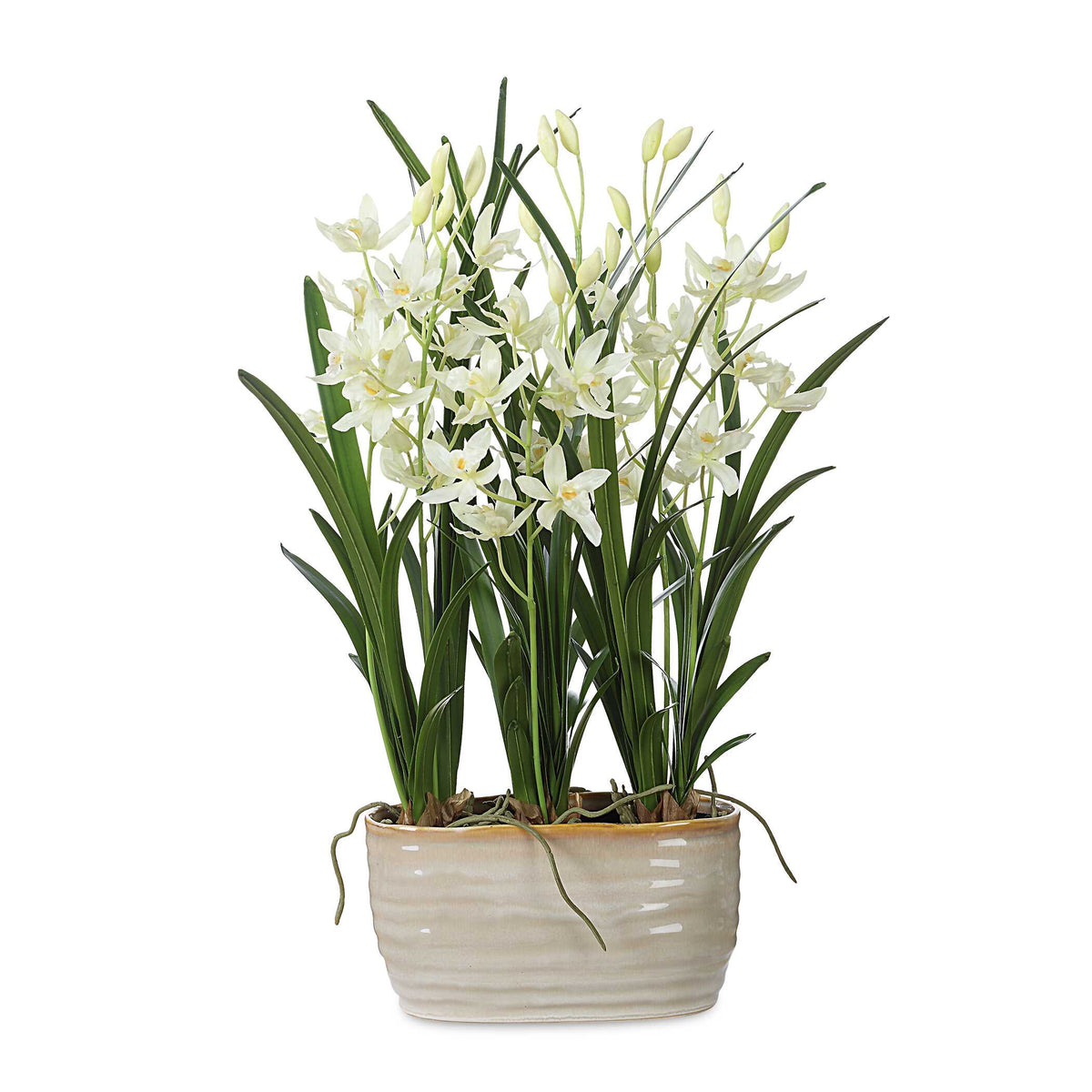 Ariana Orchid Planter