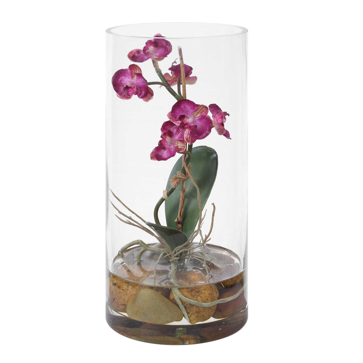 Mariposa Orchid