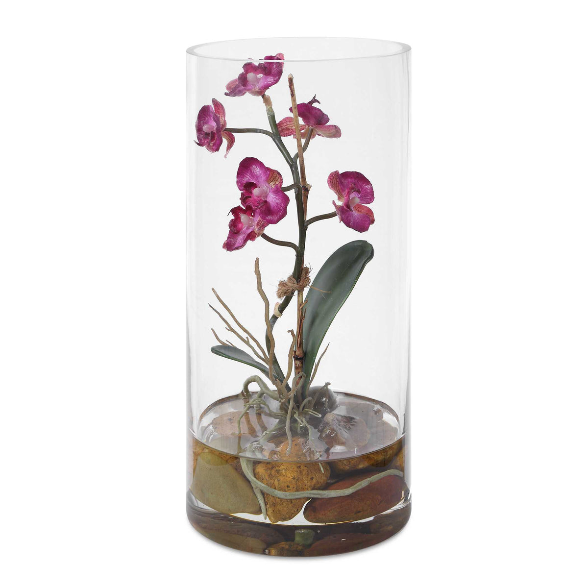 Mariposa Orchid
