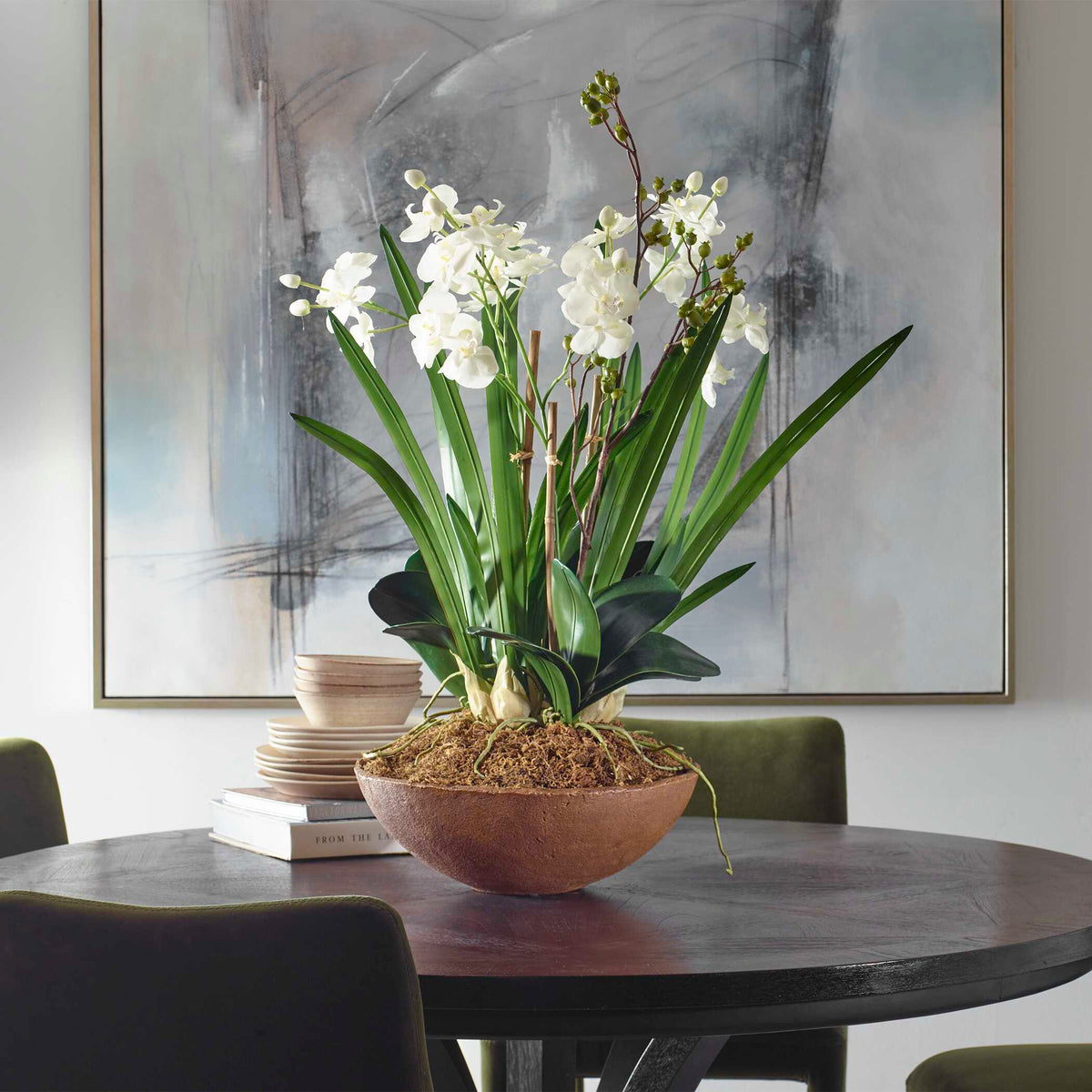Moth Orchid Planter