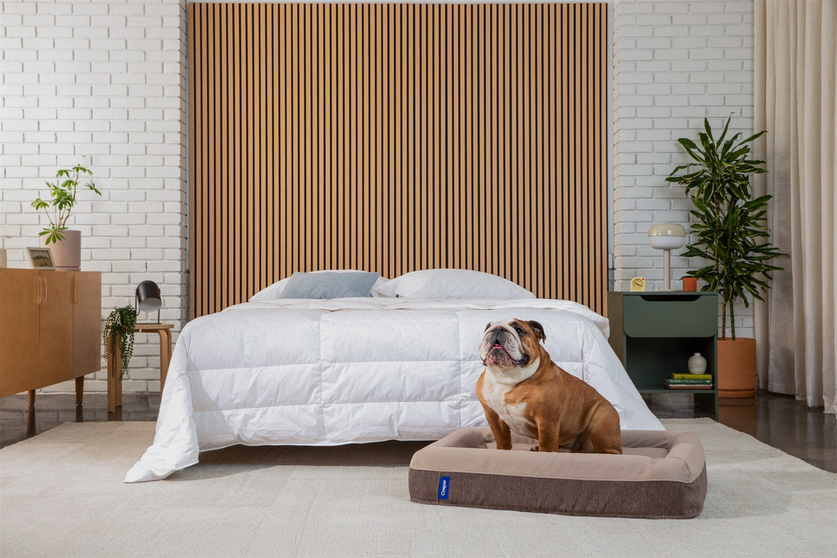 Casper Dog Bed