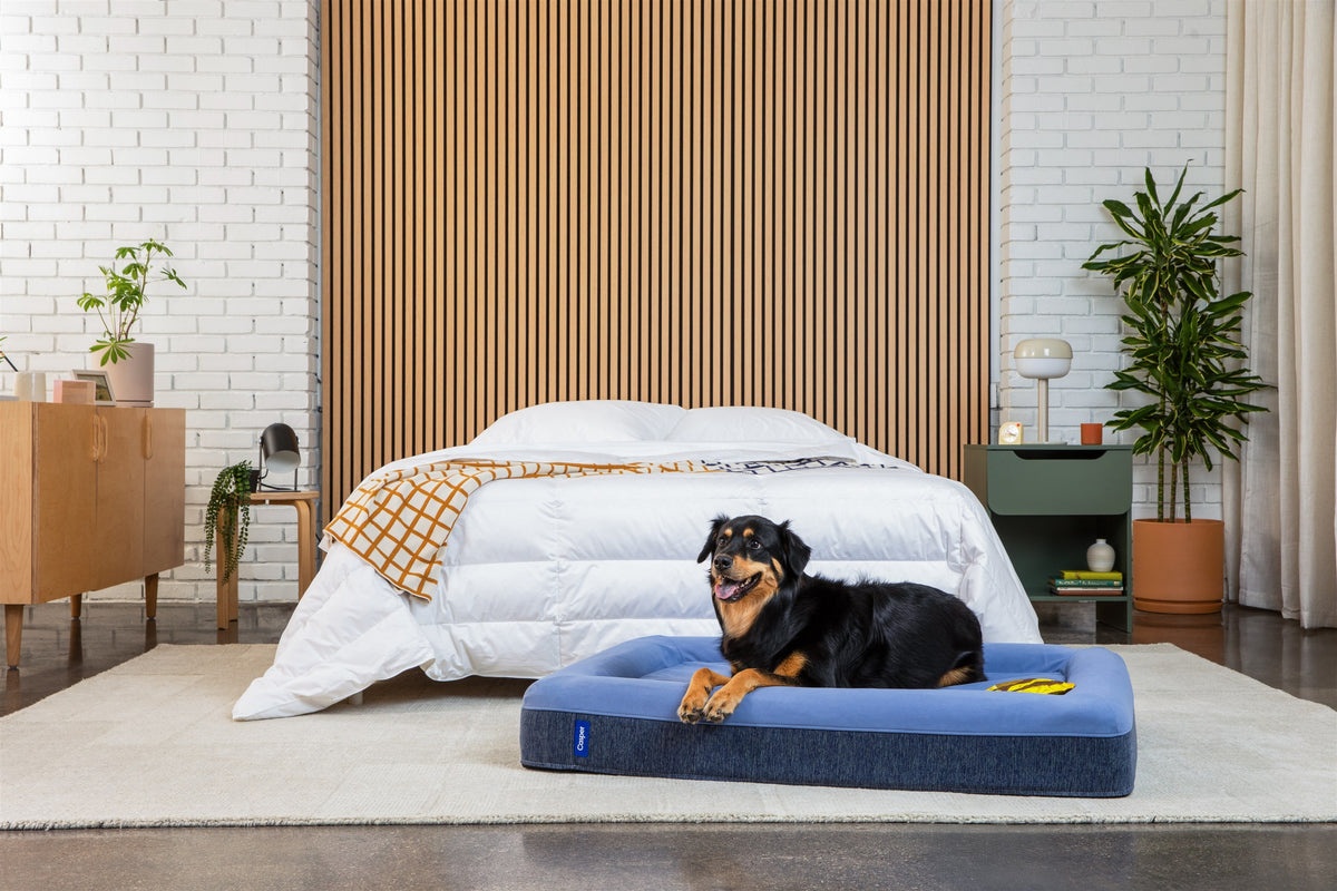 Casper Dog Bed