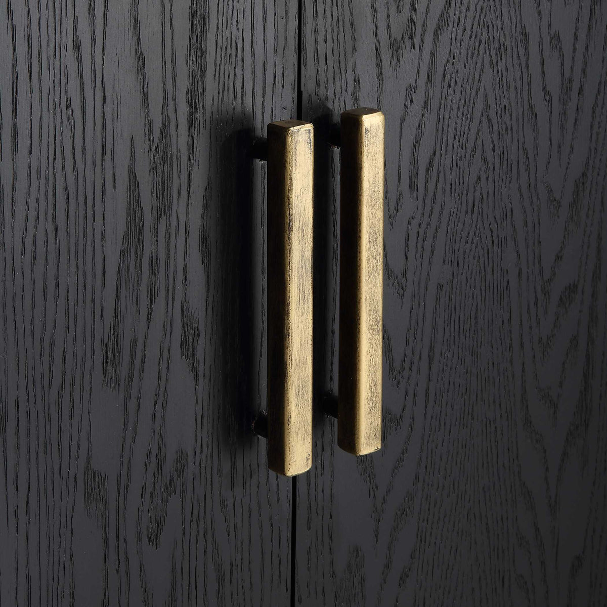 Front Range 2 Door Cabinet