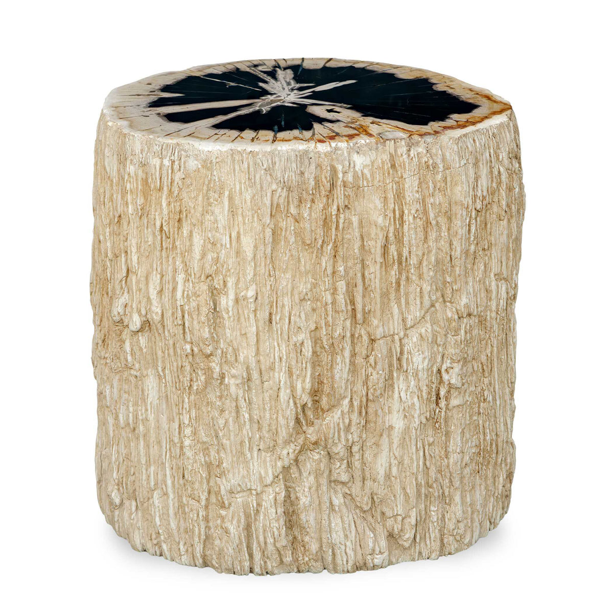 Arco Petrified Wood Top Accent Table