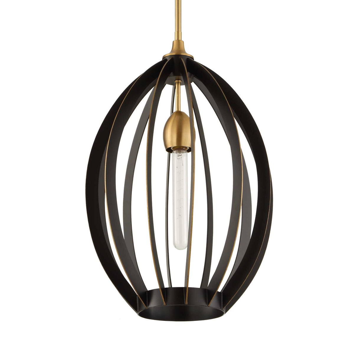 Darby 1 Light Architectural Oval Pendant