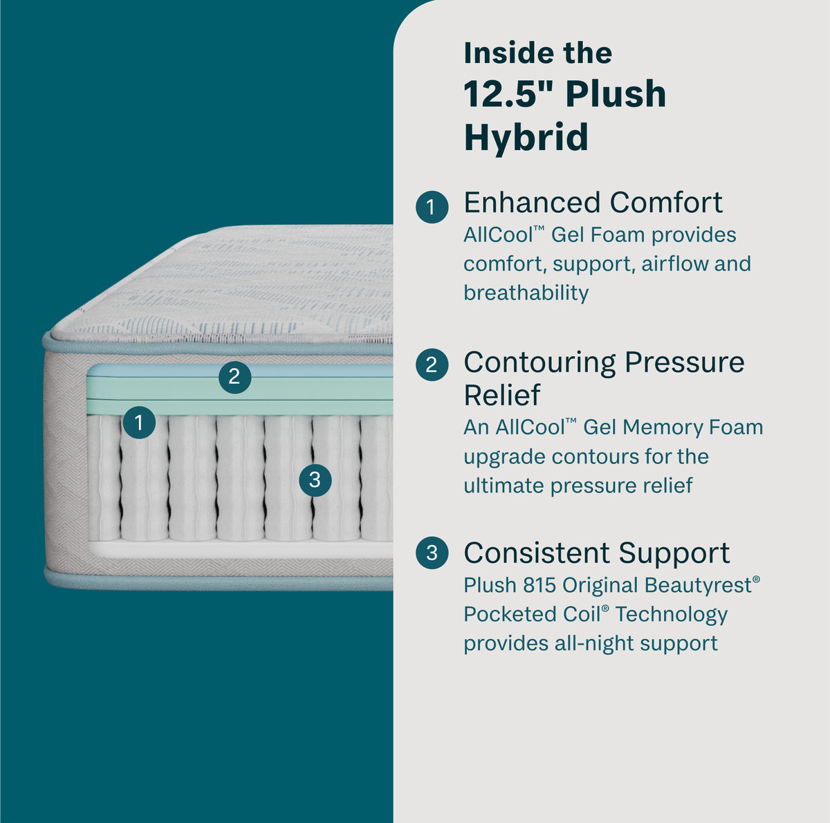 DreamRest 12.5" Hybrid Plush Mattress