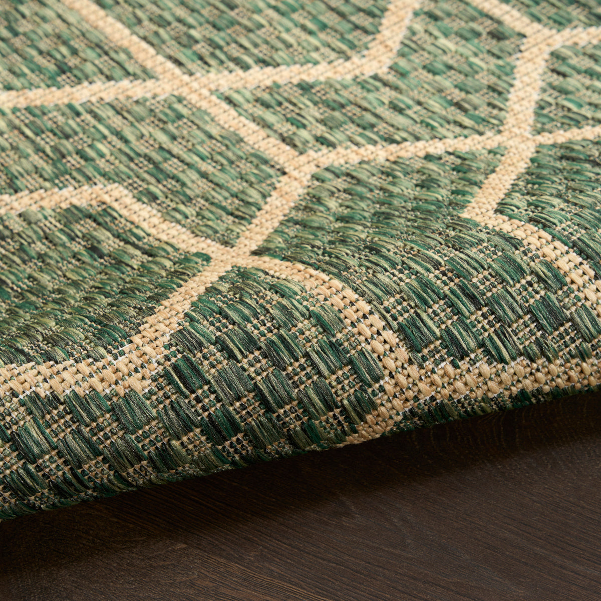 Horizon Indoor/Outdoor HOZ01 Green Rug