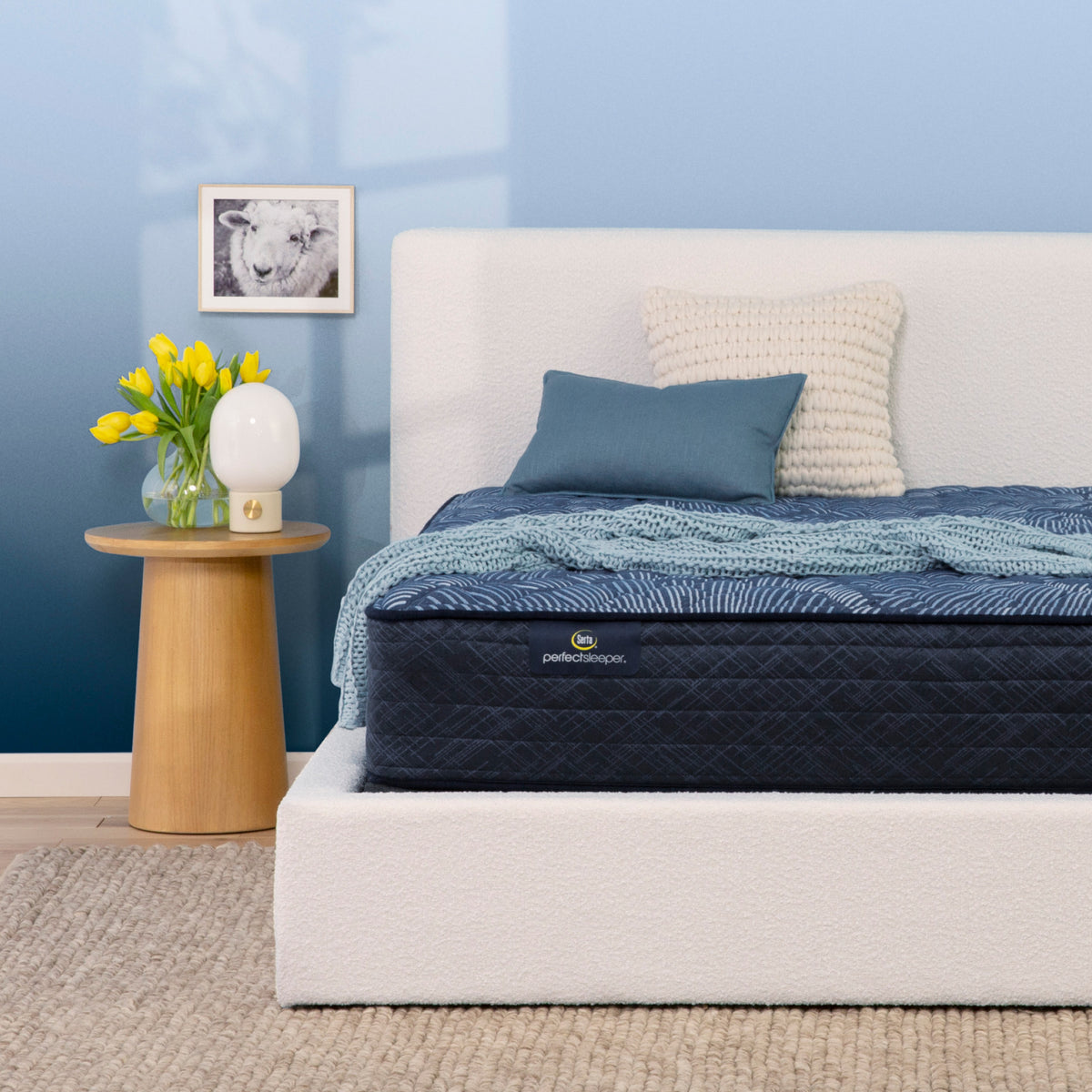 Perfect Sleeper Cameron 12" Extra Firm Mattress