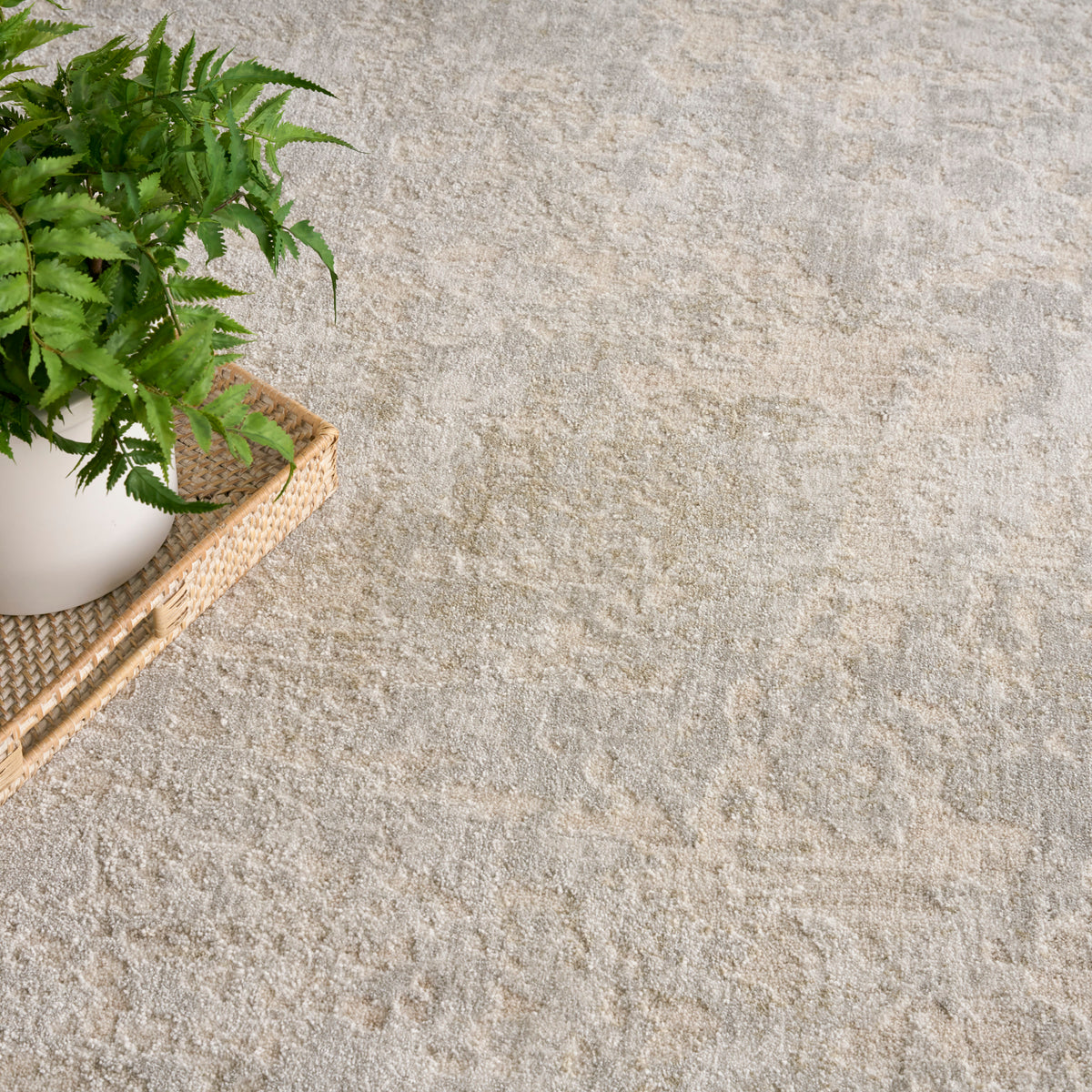 Envy EVV01 Ivory Grey Rug