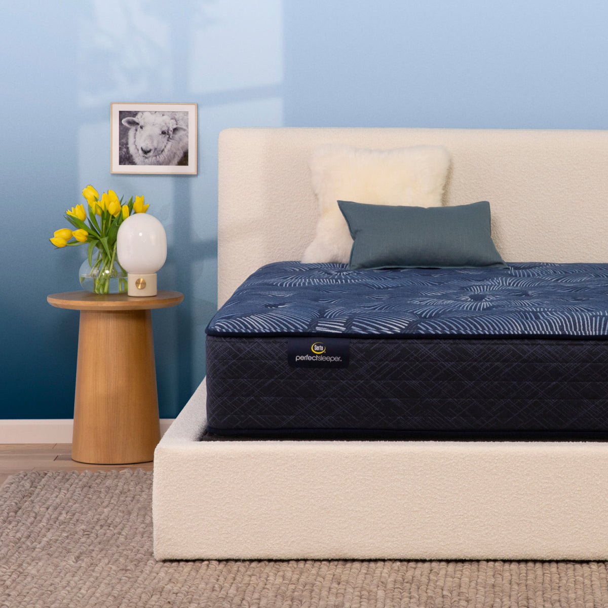 Perfect Sleeper Cameron 13.25" Plush Mattress
