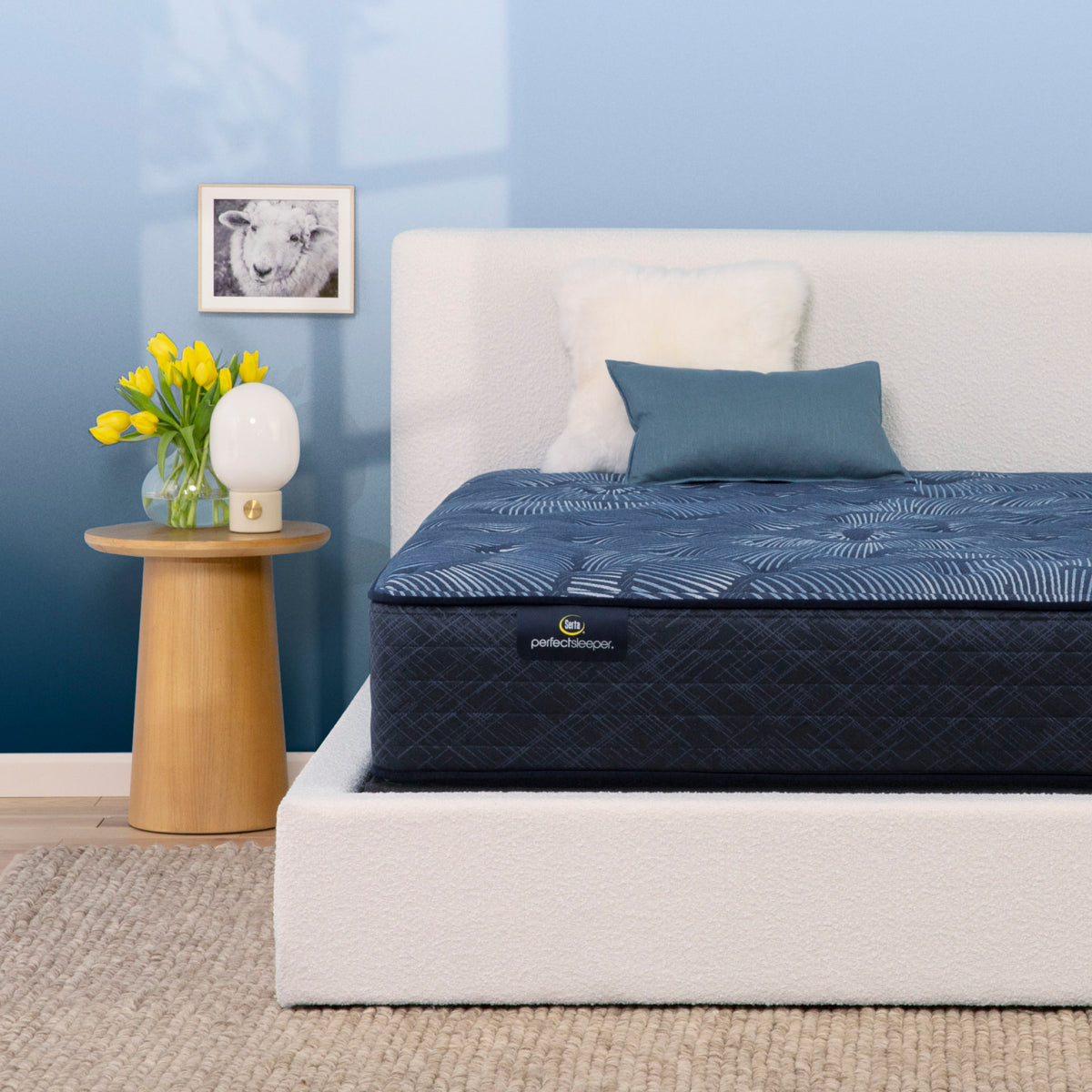 Perfect Sleeper Cameron 13.25" Plush Mattress