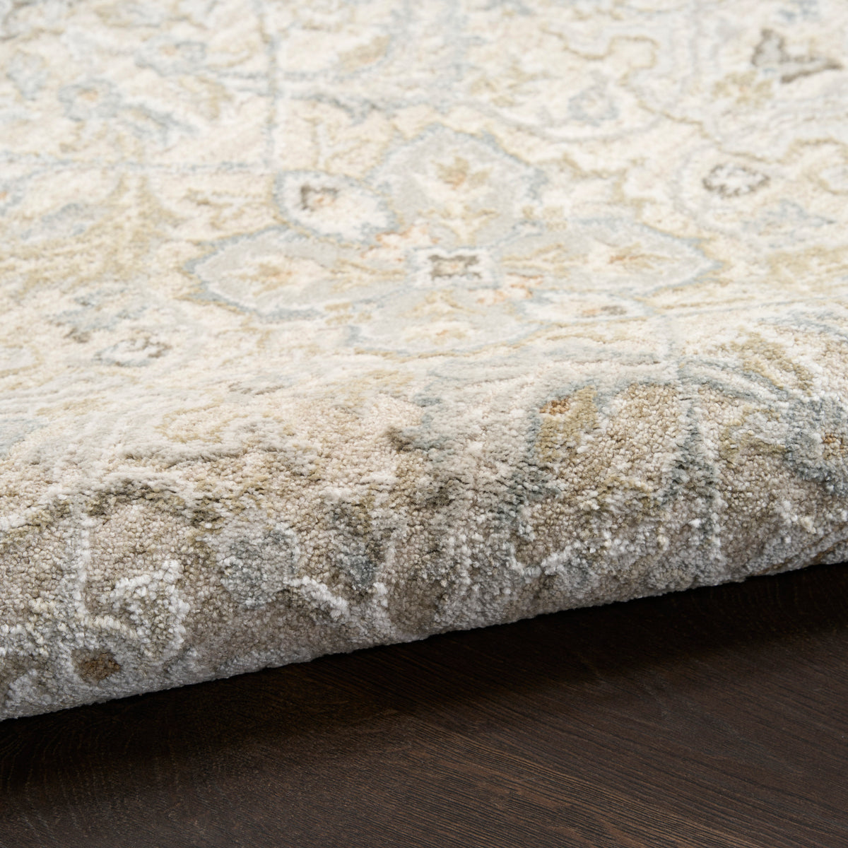 Envy EVV04 Taupe Rug