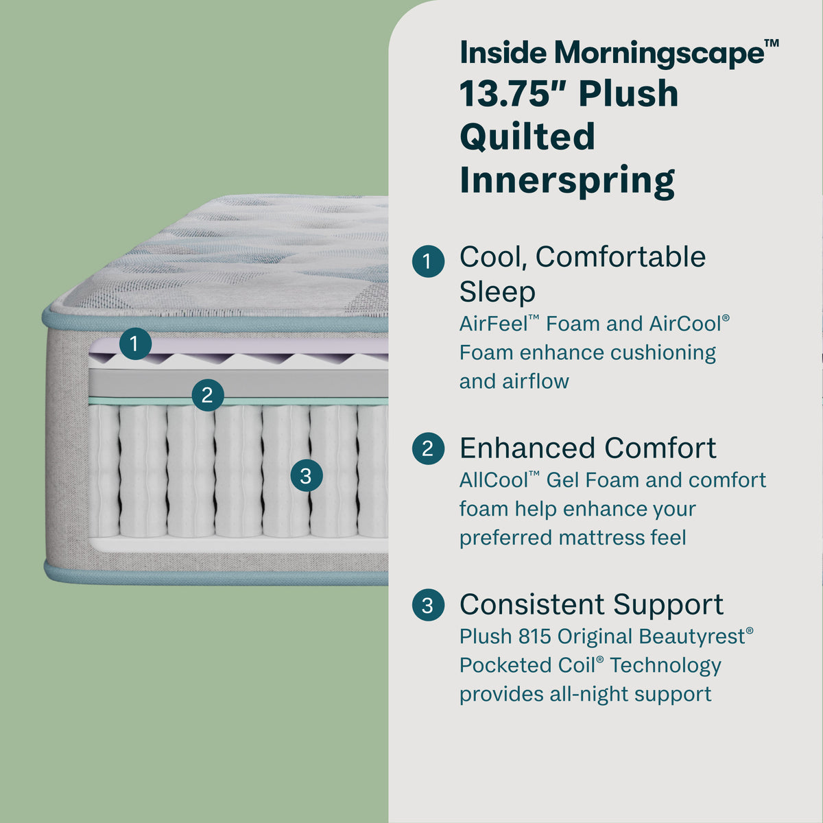 Morningscape 13.75" Plush Mattress