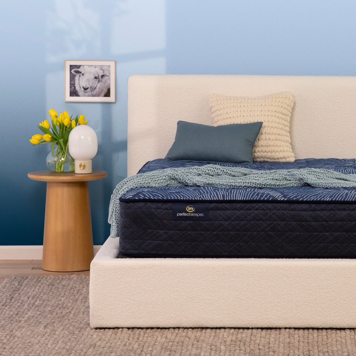 Perfect Sleeper Cameron 12" Extra Firm Mattress