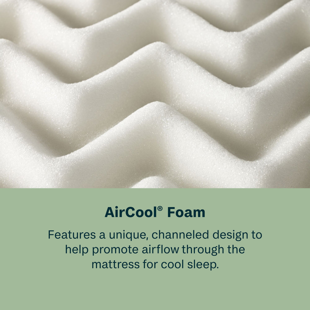 DreamRest 14.25" Medium Pillow Top Mattress