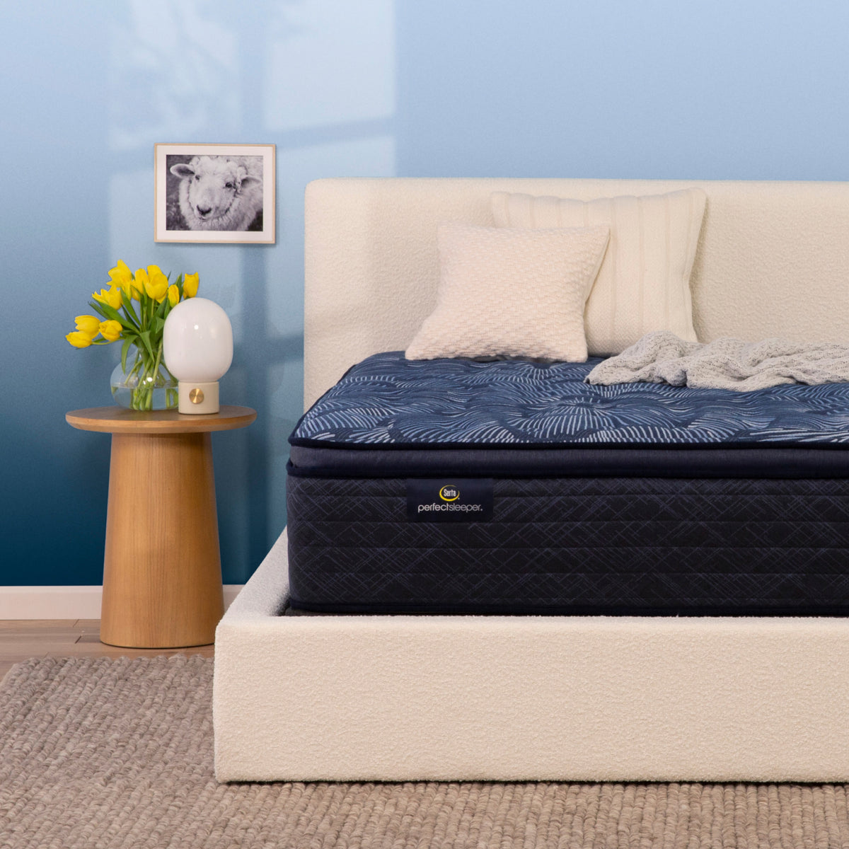 Perfect Sleeper Anchor Shore 14.5" Medium Pillow Top Mattress