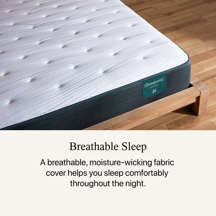 Harmony Cliffside Bay 12.25" Plush Mattress