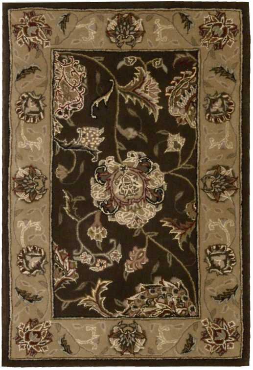 Nourison 2000 2206 Brown Rug