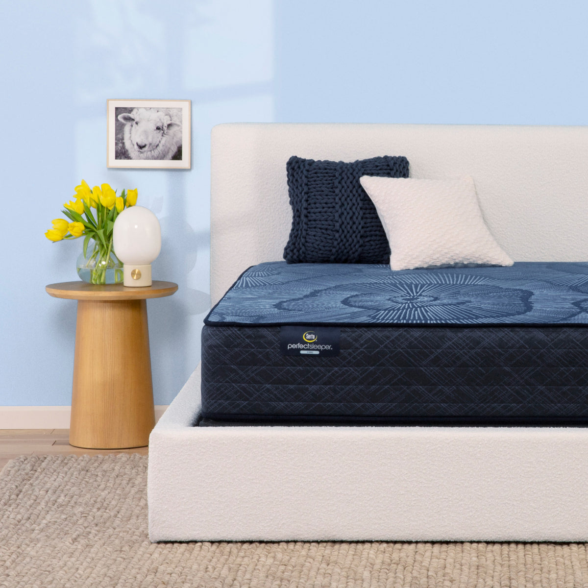 Perfect Sleeper Dazzling Night 12" Hybrid Firm Mattress