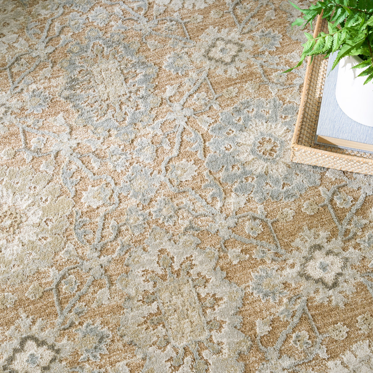 Envy EVV05 Mocha Rug
