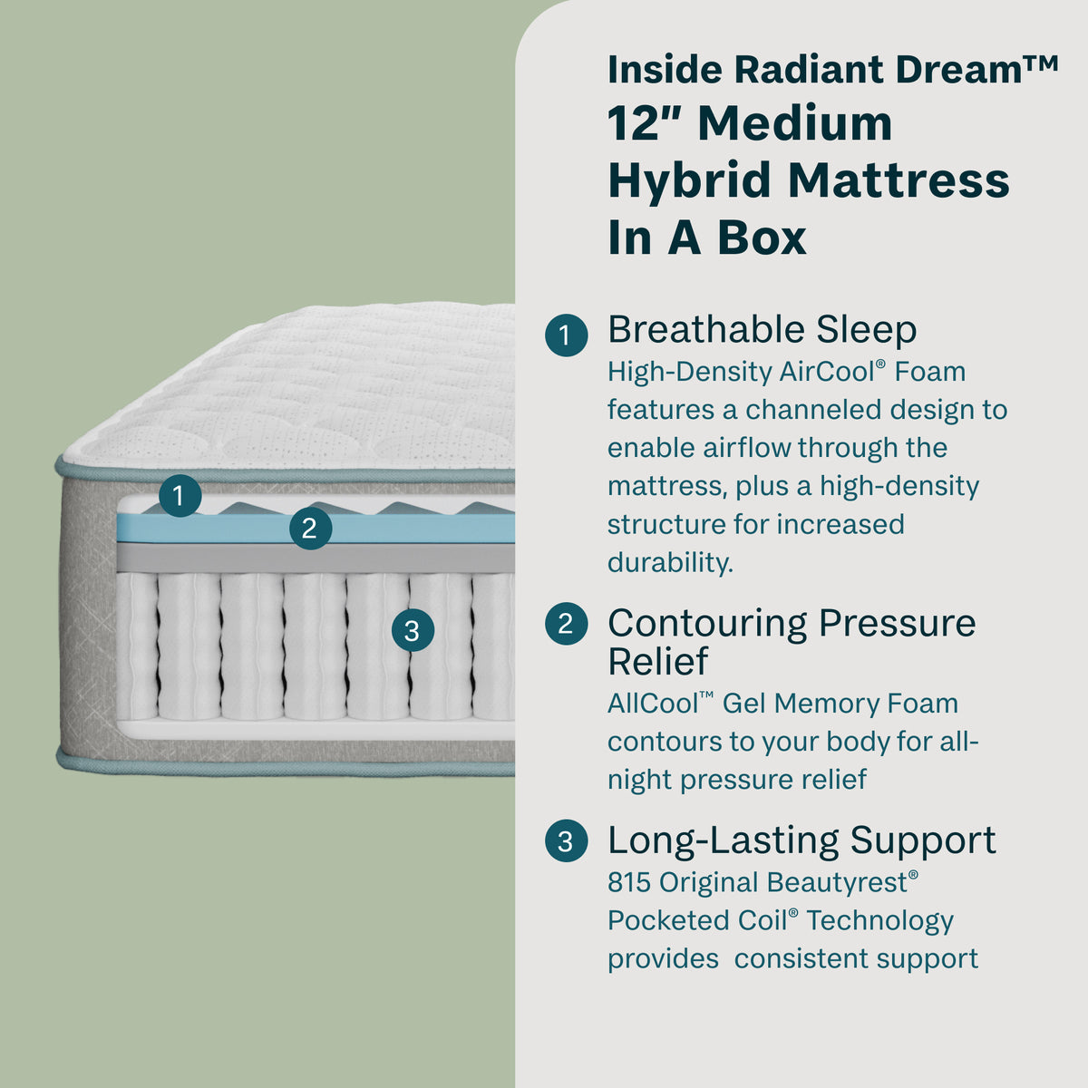 Radiant Dream 12" Hybrid Medium Mattress in a Box